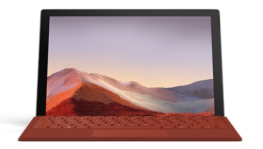 城西清洁和维护 Surface